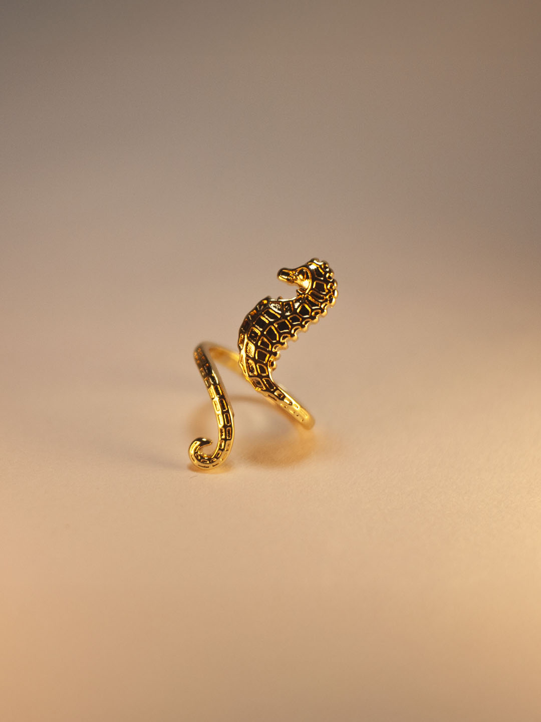 Anillo_0004