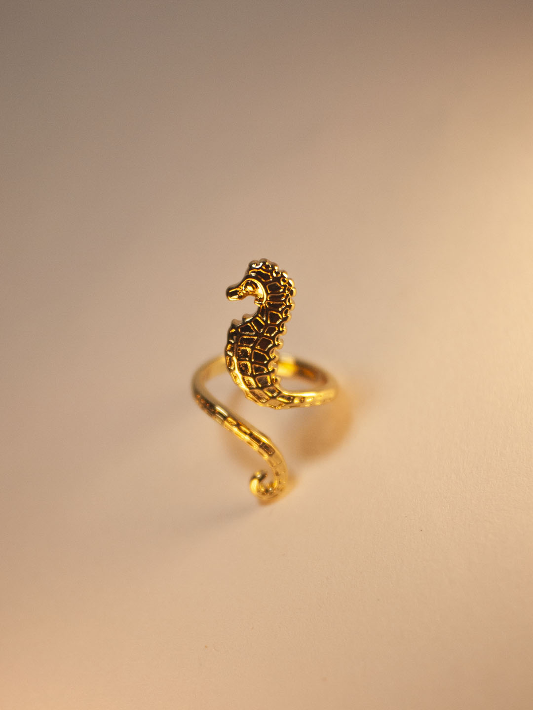 Anillo_0005