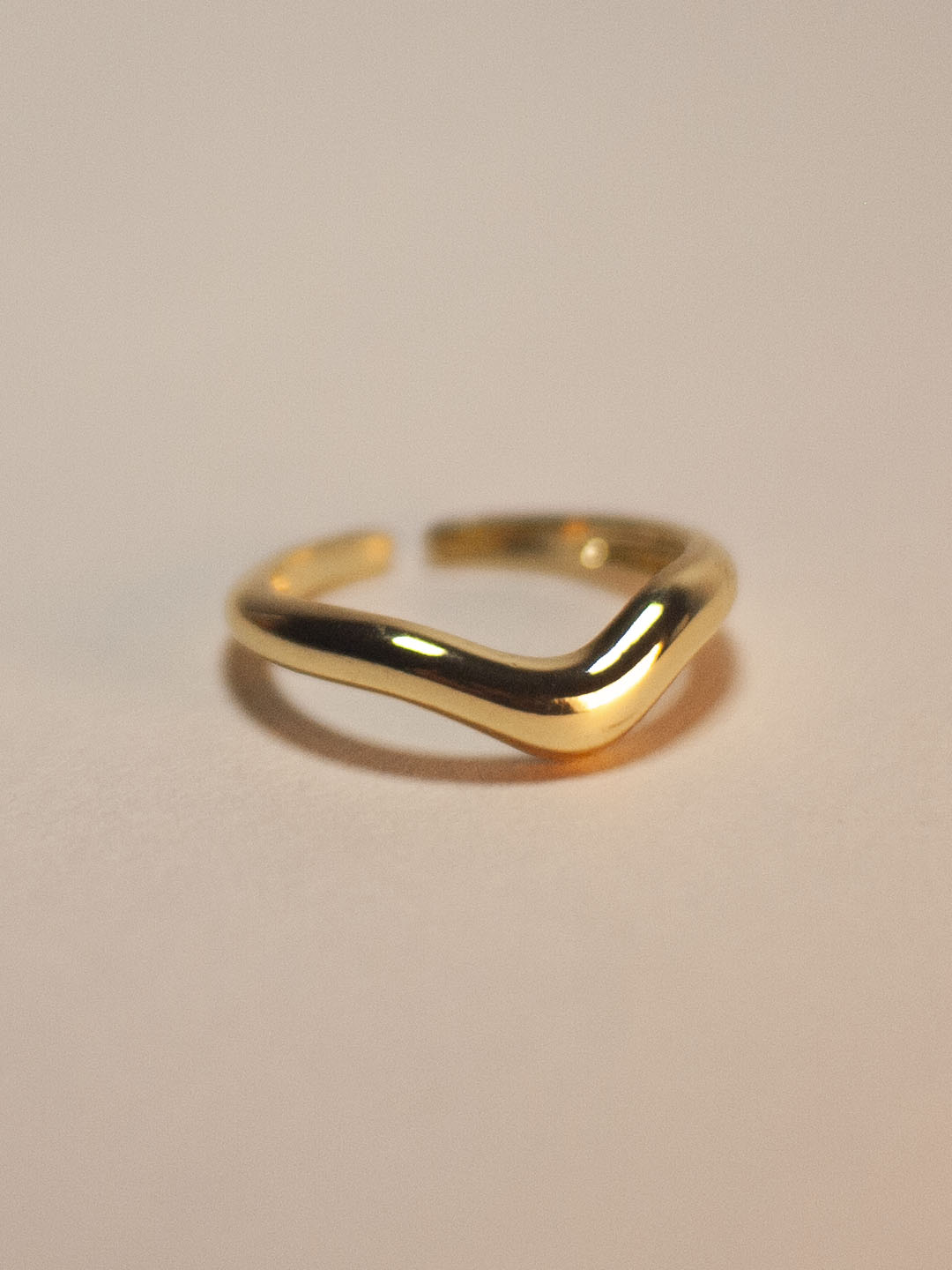 Anillo_0029