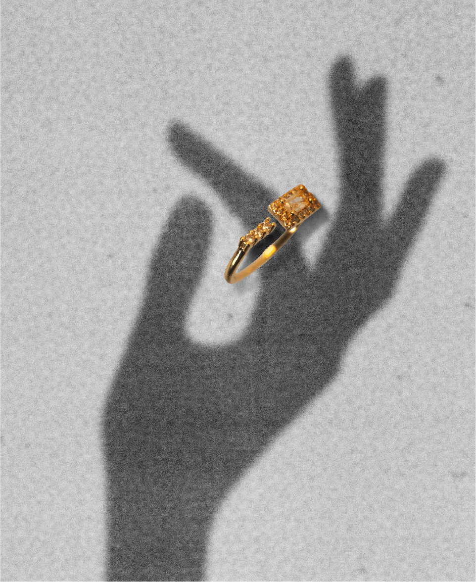 Anillos